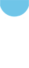 VPIS